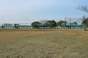 宝山野球場